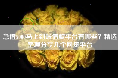 急借5000马上到账借款平台有哪些？精选整理分享几个网贷平台