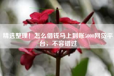 精选整理！怎么借钱马上到账5000网贷平台，不容错过