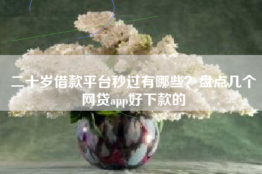 二十岁借款平台秒过有哪些？盘点几个网贷app好下款的
