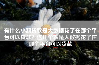 有什么小额贷款是大数据花了在哪个平台可以贷款？这几个就是大数据花了在哪个平台可以贷款