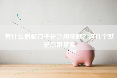 有什么借款口子是急用贷款？这几个就是急用贷款