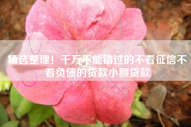 精选整理！千万不能错过的不看征信不看负债的贷款小额贷款