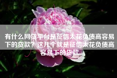 有什么网贷平台是征信太花负债高容易下的贷款？这几个就是征信太花负债高容易下的贷款