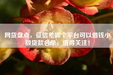 网贷盘点，征信差哪个平台可以借钱小额贷款名单，值得关注！