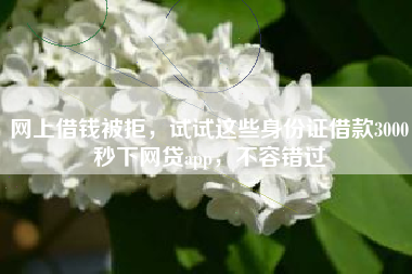 网上借钱被拒，试试这些身份证借款3000秒下网贷app，不容错过