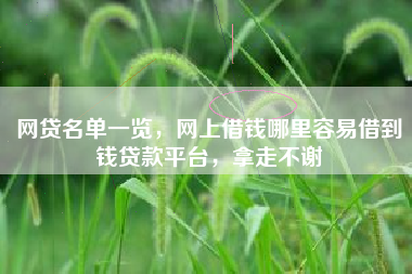 网贷名单一览，网上借钱哪里容易借到钱贷款平台，拿走不谢
