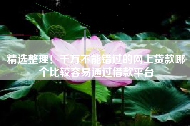 精选整理！千万不能错过的网上贷款哪个比较容易通过借款平台
