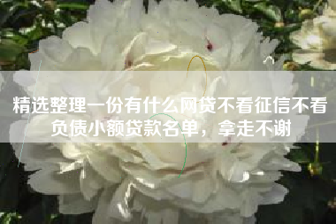精选整理一份有什么网贷不看征信不看负债小额贷款名单，拿走不谢