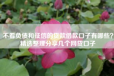 不看负债和征信的贷款借款口子有哪些？精选整理分享几个网贷口子