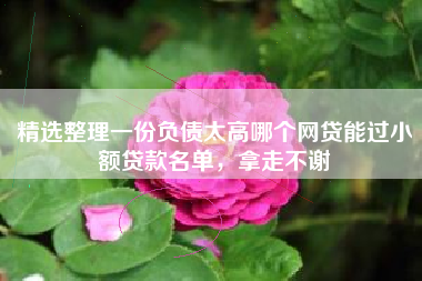精选整理一份负债太高哪个网贷能过小额贷款名单，拿走不谢