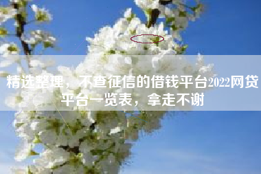 精选整理，不查征信的借钱平台2022网贷平台一览表，拿走不谢