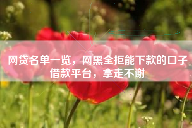 网贷名单一览，网黑全拒能下款的口子借款平台，拿走不谢