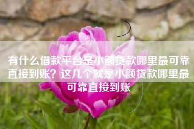 有什么借款平台是小额贷款哪里最可靠直接到账？这几个就是小额贷款哪里最可靠直接到账