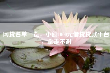 网贷名单一览，小额1000元借贷贷款平台，拿走不谢