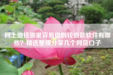 网上借钱哪里容易借到钱借款软件有哪些？精选整理分享几个网贷口子