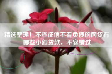 精选整理！不查征信不看负债的网贷有哪些小额贷款，不容错过