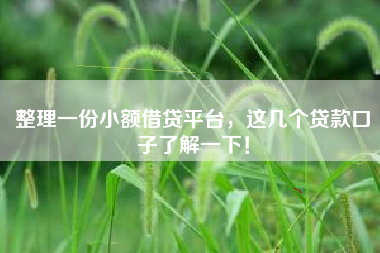 整理一份小额借贷平台，这几个贷款口子了解一下！