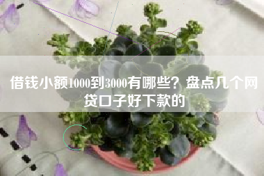 借钱小额1000到3000有哪些？盘点几个网贷口子好下款的