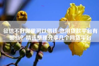 征信不好哪里可以借钱 急用贷款平台有哪些？精选整理分享几个网贷平台