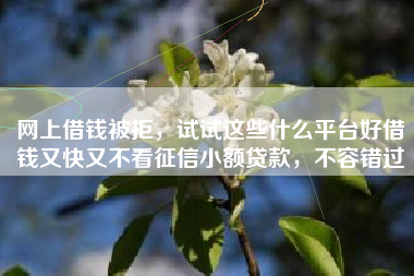 网上借钱被拒，试试这些什么平台好借钱又快又不看征信小额贷款，不容错过
