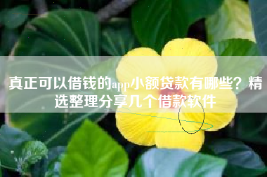 真正可以借钱的app小额贷款有哪些？精选整理分享几个借款软件