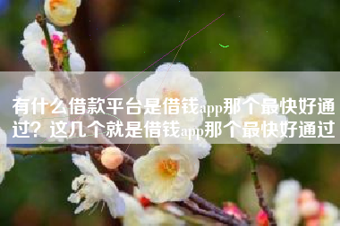 有什么借款平台是借钱app那个最快好通过？这几个就是借钱app那个最快好通过
