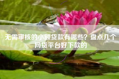 无需审核的小额贷款有哪些？盘点几个网贷平台好下款的