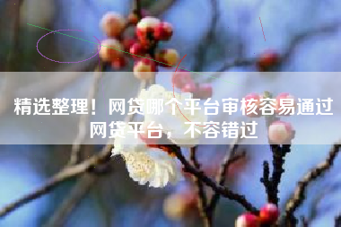 精选整理！网贷哪个平台审核容易通过网贷平台，不容错过