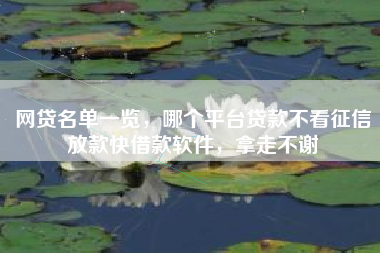 网贷名单一览，哪个平台贷款不看征信放款快借款软件，拿走不谢
