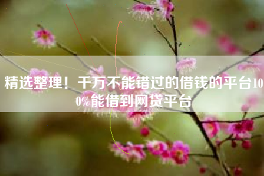 精选整理！千万不能错过的借钱的平台100%能借到网贷平台