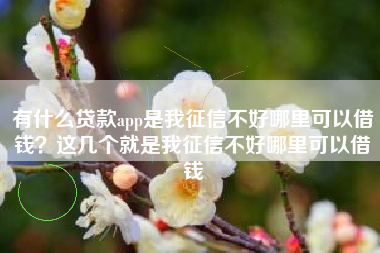 有什么贷款app是我征信不好哪里可以借钱？这几个就是我征信不好哪里可以借钱