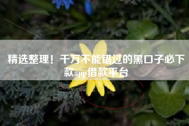 精选整理！千万不能错过的黑口子必下款app借款平台