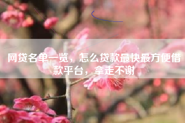 网贷名单一览，怎么贷款最快最方便借款平台，拿走不谢