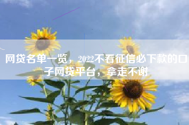 网贷名单一览，2022不看征信必下款的口子网贷平台，拿走不谢