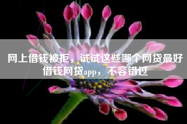 网上借钱被拒，试试这些哪个网贷最好借钱网贷app，不容错过