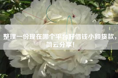 整理一份现在哪个平台好借钱小额贷款，简云分享！