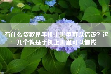 有什么贷款是手机上哪里可以借钱？这几个就是手机上哪里可以借钱
