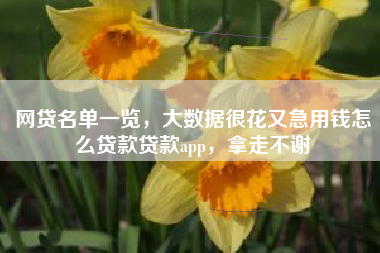 网贷名单一览，大数据很花又急用钱怎么贷款贷款app，拿走不谢