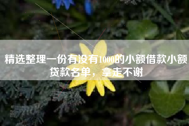 精选整理一份有没有1000的小额借款小额贷款名单，拿走不谢