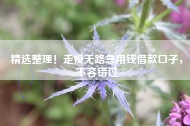 精选整理！走投无路急用钱借款口子，不容错过