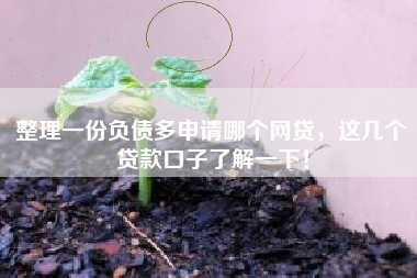 整理一份负债多申请哪个网贷，这几个贷款口子了解一下！