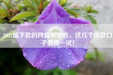 2022能下款的网贷有哪些，这几个借款口子值得一试！