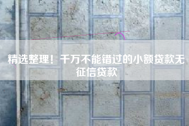 精选整理！千万不能错过的小额贷款无征信贷款
