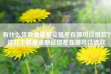 有什么贷款是逾期征信差在哪可以借款？这几个就是逾期征信差在哪可以借款