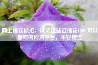 网上借钱被拒，试试这些征信花100%可以借钱的网贷平台，不容错过