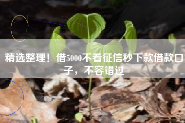 精选整理！借5000不看征信秒下款借款口子，不容错过