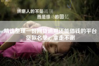 精选整理一份网贷逾期还能借钱的平台贷款名单，拿走不谢