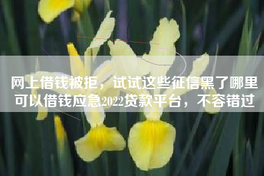 网上借钱被拒，试试这些征信黑了哪里可以借钱应急2022贷款平台，不容错过