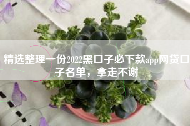 精选整理一份2022黑口子必下款app网贷口子名单，拿走不谢