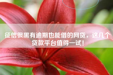 征信很黑有逾期也能借的网贷，这几个贷款平台值得一试！